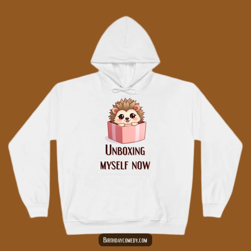Funny Hedgehog Present Box Hoodie: Cozy Surprise, Warm Funny Gift for Cuddles