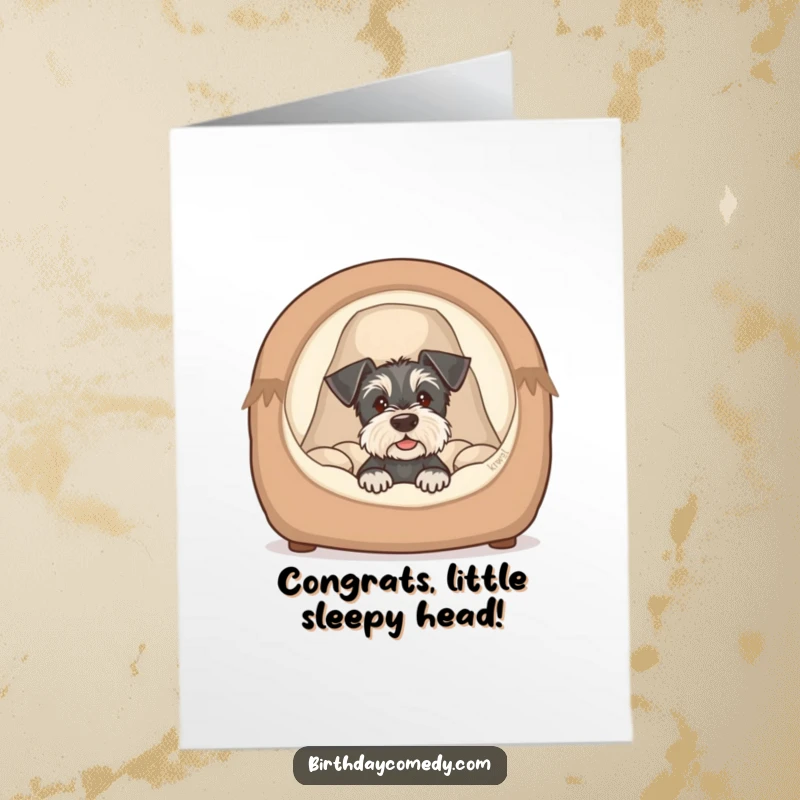 Funny Free Printable Congrats Card: Schnauzer puppy peeking from a cozy dog bed, cute and humorous congratulations, downloadable.